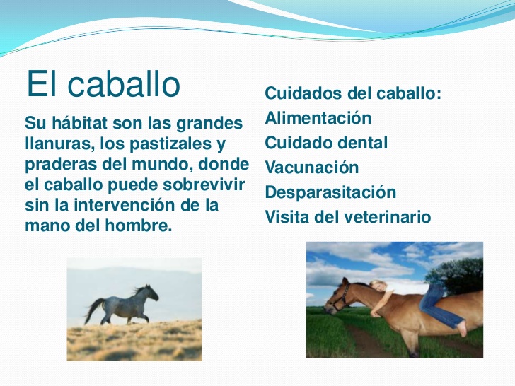 el-caballo-3-728