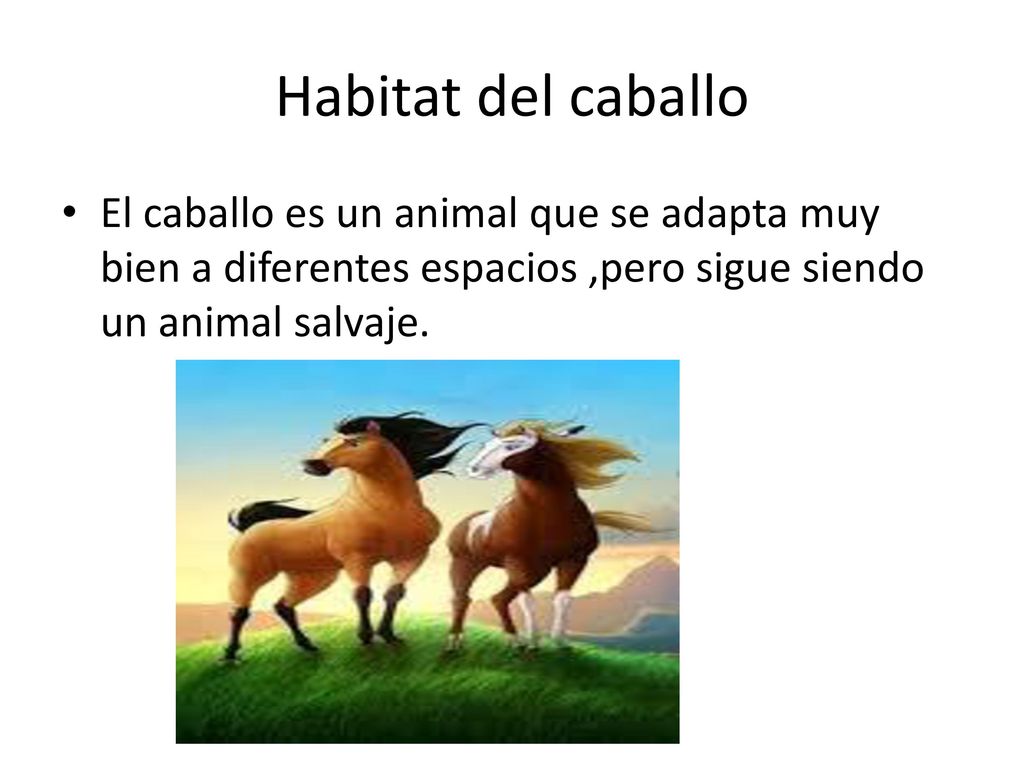 Habitat+del+caballo+El+caballo+es+un+animal+que+se+adapta+muy+bien+a+diferentes+espacios+,pero+sigue+siendo+un+animal+salvaje.