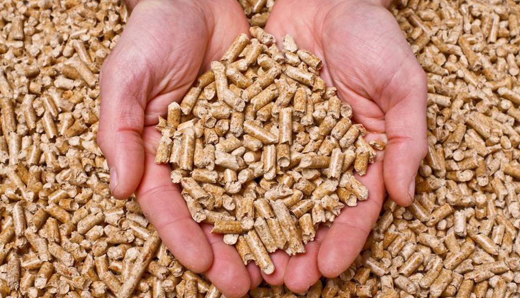 venta-pellet.jpg